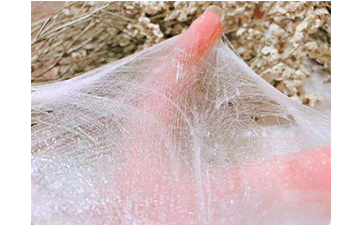 怎樣去辨別蠶絲面膜的真假？