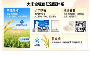 一粒好米，全程可溯：尚源構建獨特防偽溯源生態(tài)